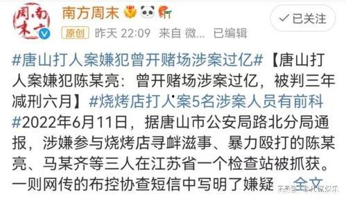 陈晓亮天涯爆料视频,事件背后惊人真相