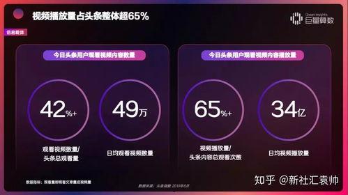 头条用户回报率低,“揭秘低回报率背后的头条用户困境”