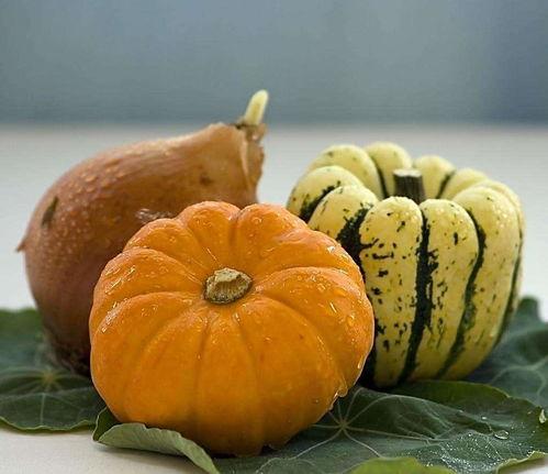 韩城吃瓜情报处,揭秘当地热门美食与趣闻轶事