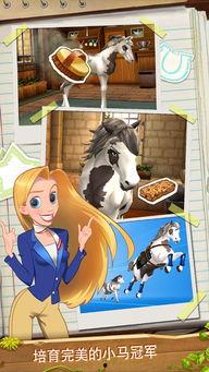 小马吃瓜记,一场欢乐的田园冒险之旅