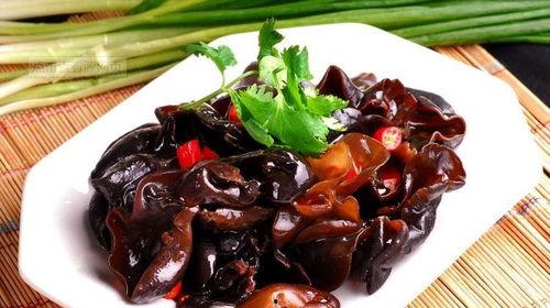 木耳菌拌料水分怎么看,精准调控，培育优质木耳