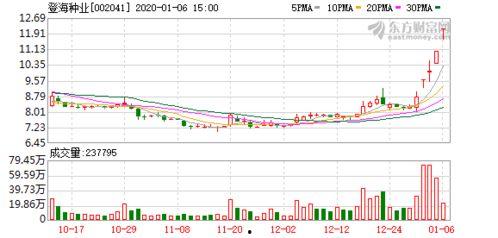军工和网红经济哪个好