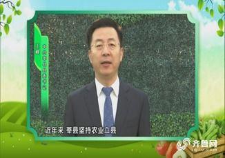 网红书记莘县