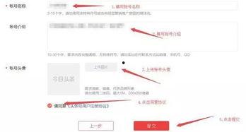 注册头条赚钱方法,开启你的赚钱之旅