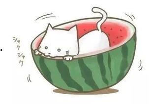 啃球吃瓜,揭秘娱乐圈的甜蜜与苦涩