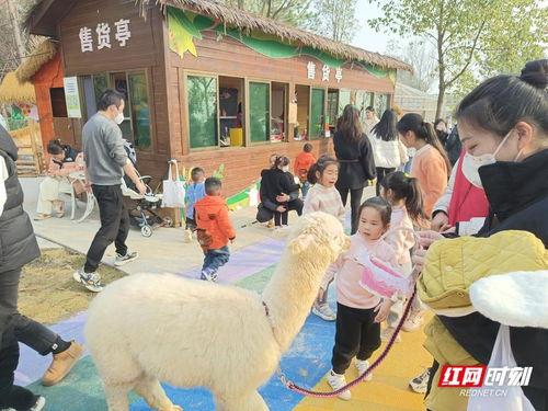 农村儿童去网红地点玩,新潮流下的快乐足迹