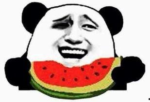 搞笑吃瓜群众名场面,笑料百出！搞笑吃瓜群众名场面大盘点