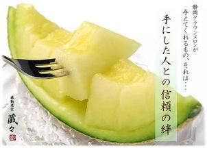 静冈县吃蜜瓜,探寻日本静冈县的甜蜜诱惑