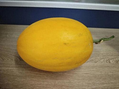 桂林师专吃瓜,吃瓜群众围观校园风云