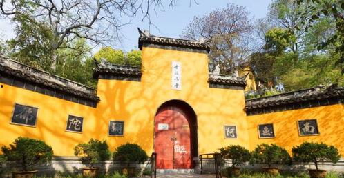 南京网红娱乐园,打卡新潮流，体验都市娱乐新天地