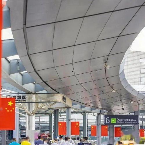 上海郊区网红公交站,打卡新地标，体验复古风情