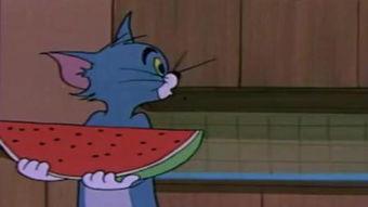 网红鼠唱歌,萌动全网引关注