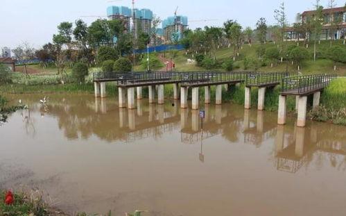 温州有哪些网红公园好玩,探寻这座城市的绿意盎然