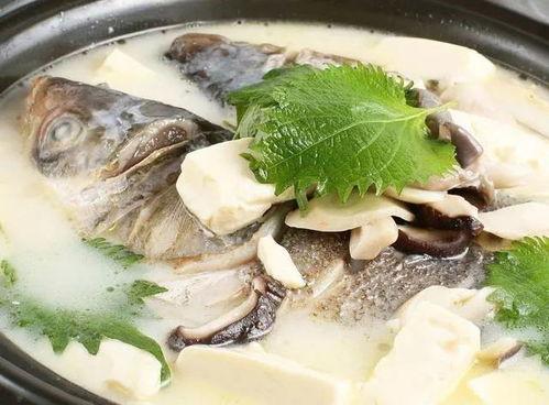 网红高压鱼头图片大全,视觉盛宴下的美食诱惑