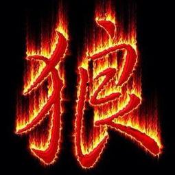 神秘人爆料素材视频大全