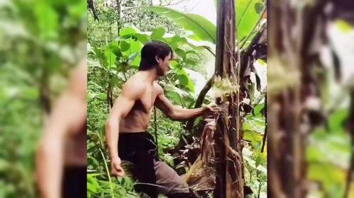 满级人类极限吃瓜,满级人类如何吃瓜成瘾